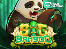 Casino free slots game2